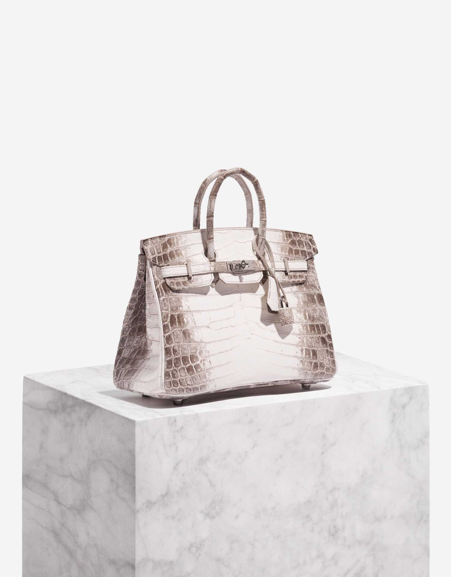 birkin himalayan 25 bag price