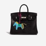 Pre-owned Hermès bag Rodeo PM Milo Lamb Blue Electrique / Lagoon / Rose Pourpre / Bamboo / Lime Blue, Rose, Yellow Detail | Sell your designer bag on Saclab.com