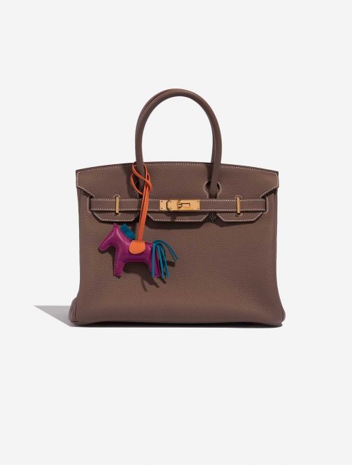 Pre-owned Hermès bag Rodeo PM Milo Lamb Tosca / Blue Izmir / Orange Multicolour, Violet Detail | Sell your designer bag on Saclab.com