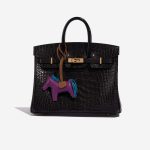Pre-owned Hermès bag Rodeo PM Milo Lamb Anemone / Blue Izmir / Gold Multicolour, Violet Detail | Sell your designer bag on Saclab.com