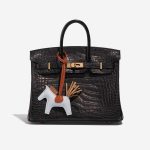 Pre-owned Hermès bag Rodeo PM Milo Lamb Chai / Blue Brume / Cornaline Brown, Orange, White Detail | Sell your designer bag on Saclab.com