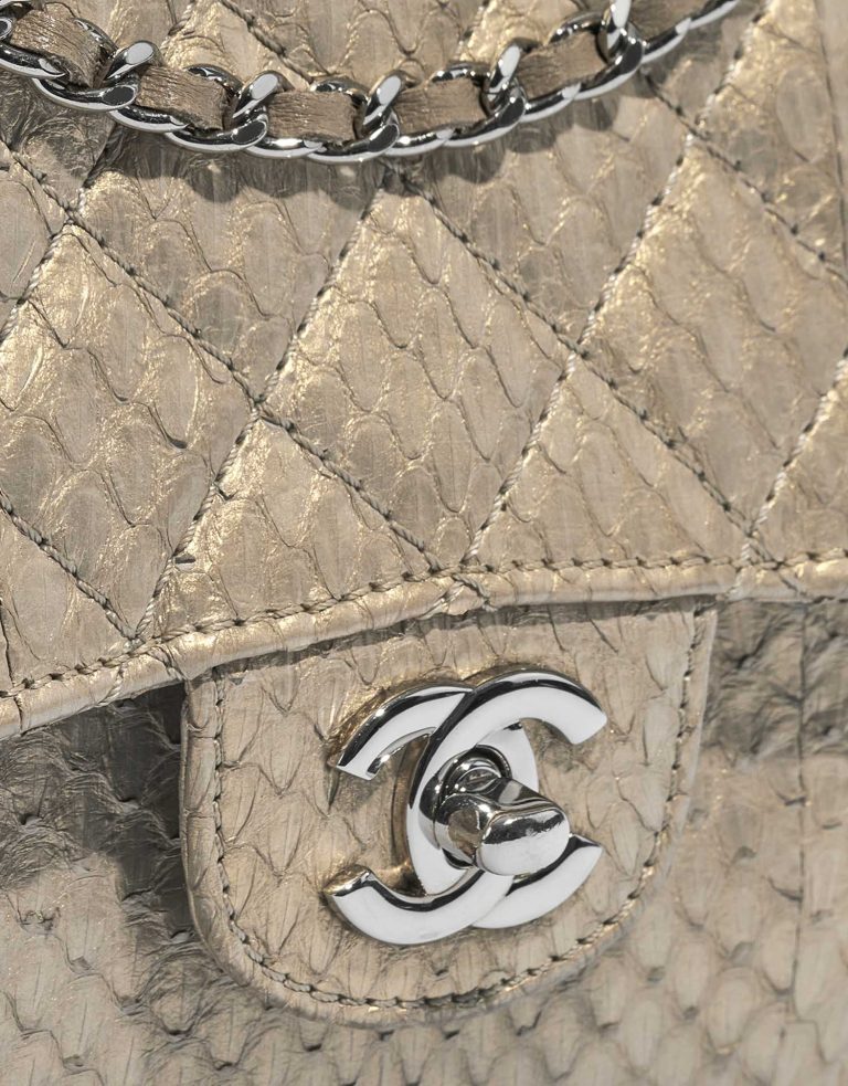 Pre-owned Chanel bag Timeless Medium Python Gold Gold Front | Sell your designer bag on Saclab.com