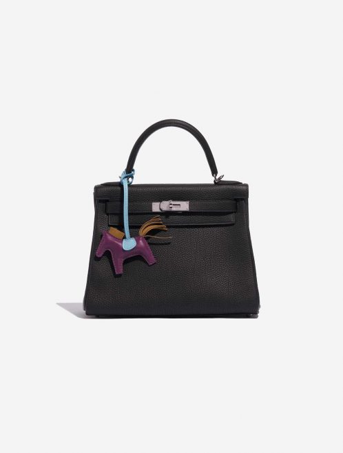 Sac Hermès d'occasion Rodeo PM Milo Anemone / Celeste / Gold Multicolore, Violet Detail | Vendez votre sac de créateur sur Saclab.com