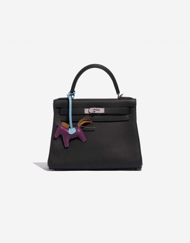 Pre-owned Hermès bag Rodeo PM Milo Anemone / Celeste / Gold Multicolour Front | Sell your designer bag on Saclab.com