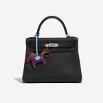 Pre-owned Hermès bag Rodeo PM Milo Anemone / Celeste / Gold Multicolour, Violet Detail | Sell your designer bag on Saclab.com