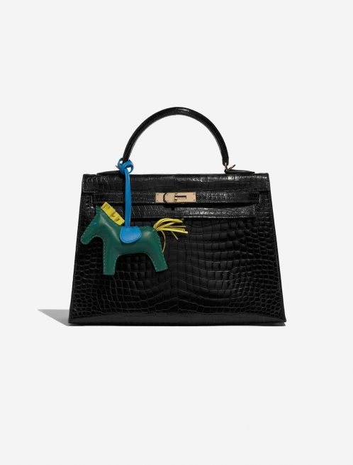 Gebrauchte Hermès Tasche Rodeo MM Milo Vert / Blau Izmir / Jaune de Naples Green Detail | Verkaufen Sie Ihre Designer-Tasche auf Saclab.com