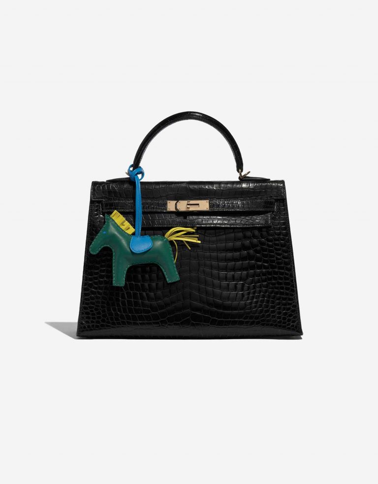 Pre-owned Hermès bag Rodeo MM Milo Vert / Blue Izmir / Jaune de Naples Green Front | Sell your designer bag on Saclab.com