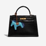 Pre-owned Hermès bag Rodeo MM Milo Paon / Alezan / Blue France Blue Detail | Sell your designer bag on Saclab.com