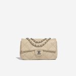 Pre-owned Chanel bag Timeless Medium Python Beige Beige Front | Sell your designer bag on Saclab.com