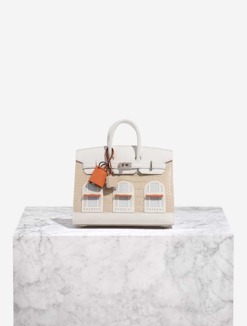Pre-owned Hermès bag Birkin Faubourg 20 Snow Matte Alligator / Togo / Epsom / Swift White / Beton / Orange H / Blue Brume / Craie Beige, White Front | Sell your designer bag on Saclab.com