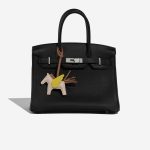 Hermès RodeoPegasusPM OneSize Craie-Lime-Chai Closing System  | Sell your designer bag on Saclab.com