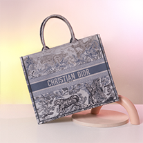 Second hand discount dior book tote