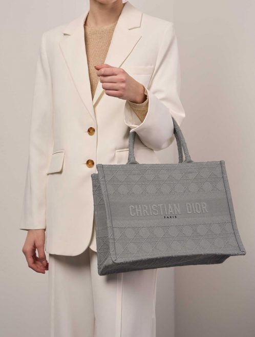 Dior BookTote Grey Sizes Worn | Sell your designer bag on Saclab.com