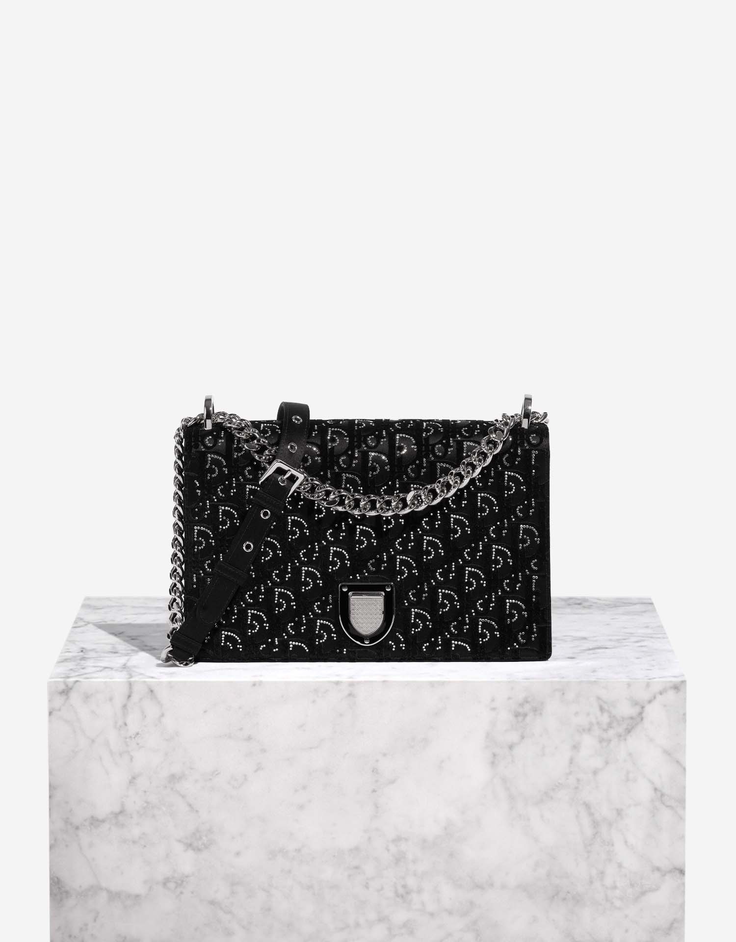 Diorama Velvet Bag