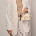 Hermès KellydolePicto Nata-Lime-MauveSyvestre-Chai Sizes Worn | Sell your designer bag on Saclab.com