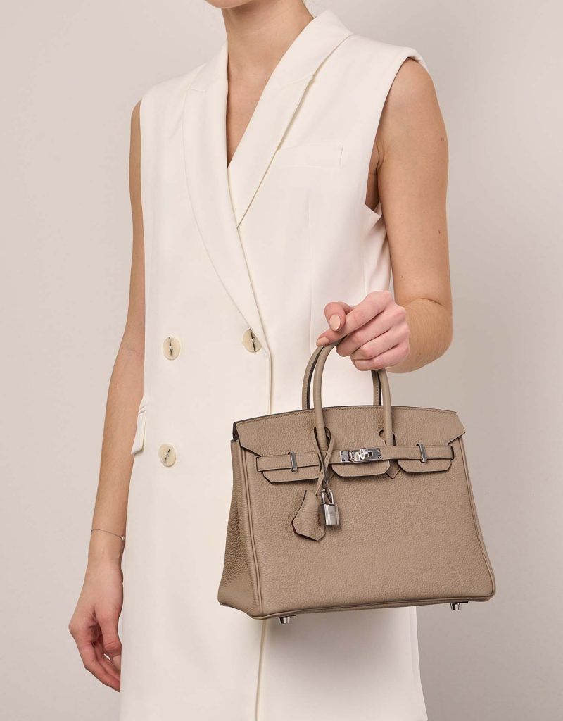 Herm s Birkin 25 Verso Togo Trench Bougainvillier SACL B Herm s Birkin 25 Verso Togo Trench Bougainvillier SACL B