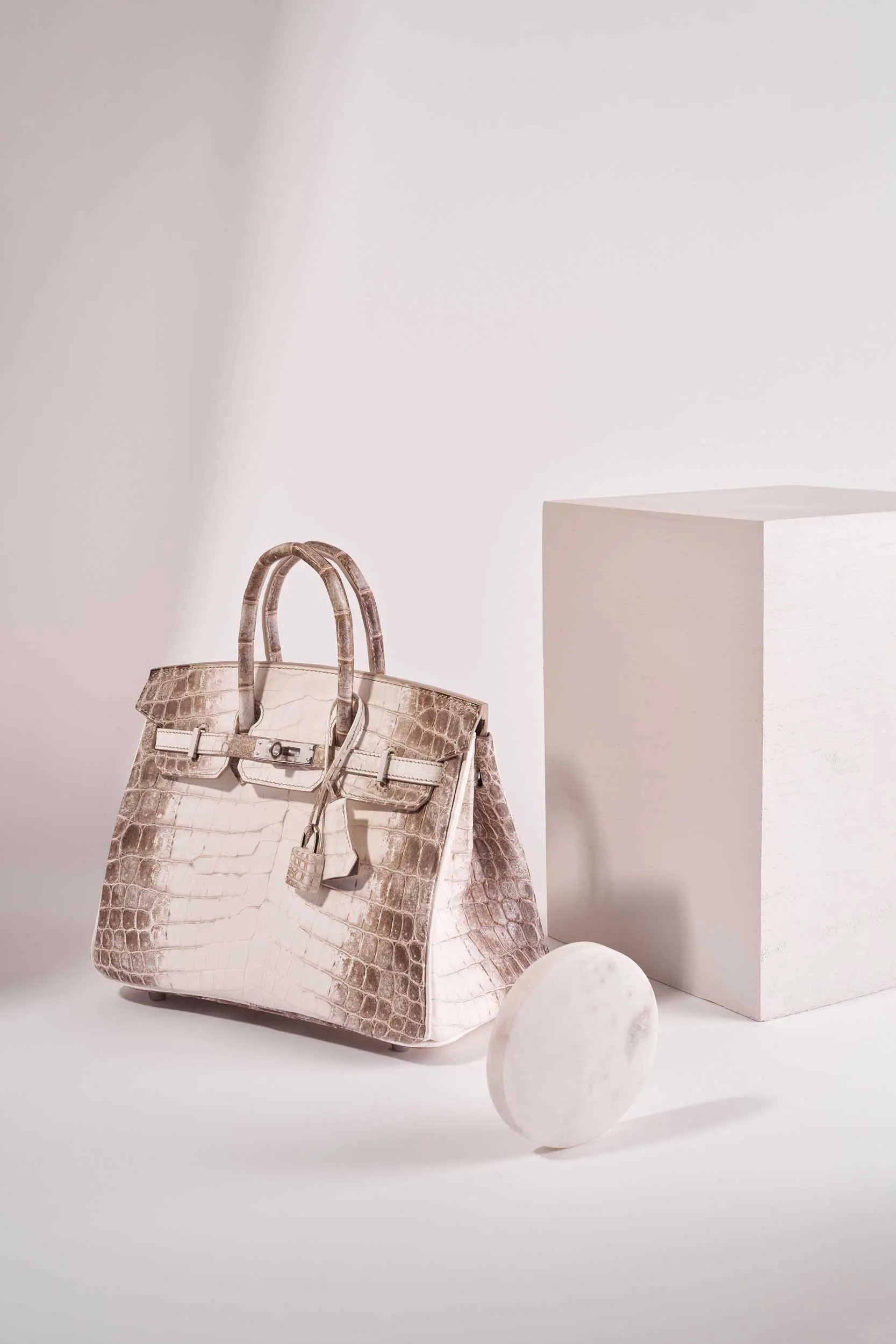 Hermes Limited Edition Birkin 20 Sellier Bag Neige (Snow) White