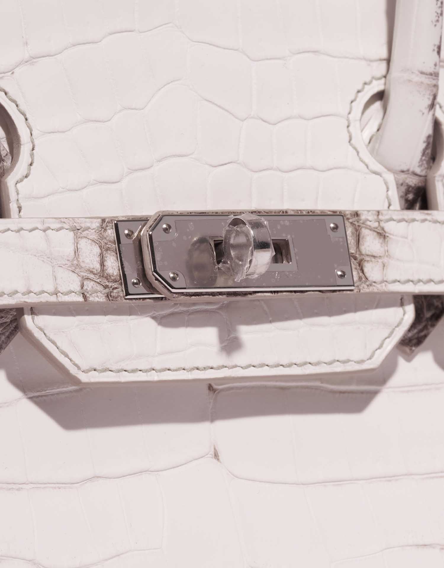 Hermès Birkin 30 Niloticus Himalayan Blanc bag