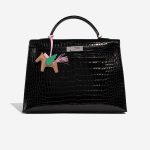 Hermès RodeoPegasus OneSize Chai-MauveSylvestre-Menthe Closing System  | Sell your designer bag on Saclab.com