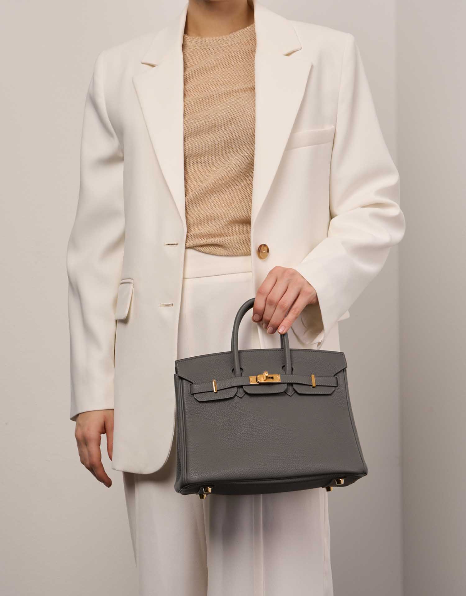 Hermès Birkin 25 GrisMeyer 1M | Sell your designer bag on Saclab.com