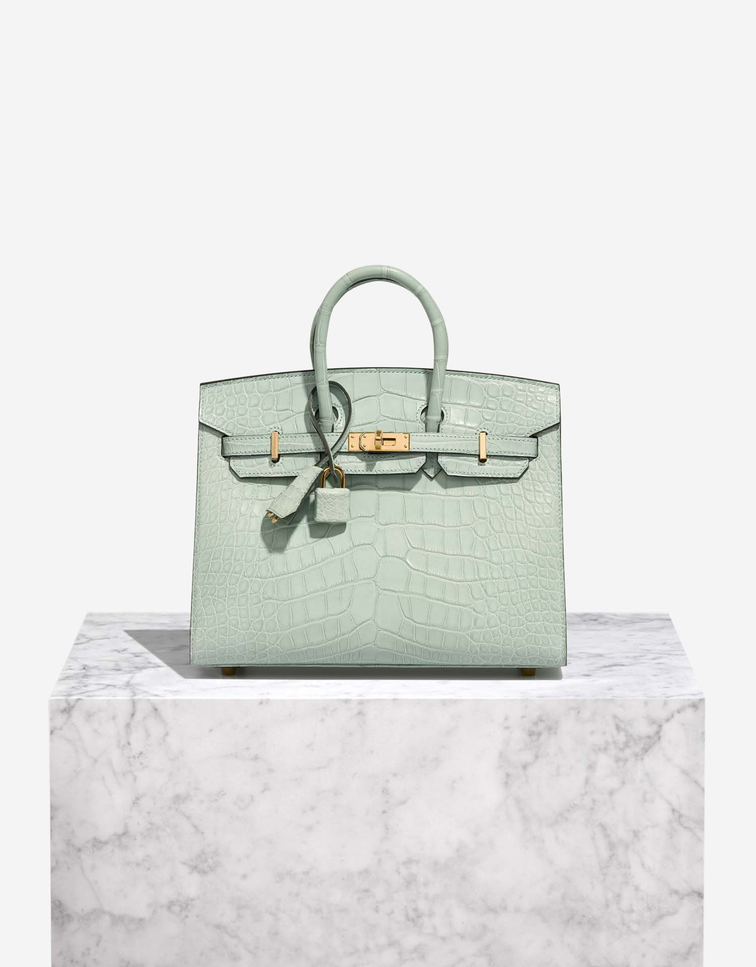 It's more than a bag, it's the iconic Hermès Birkin 25 Vert D'Eau Matt