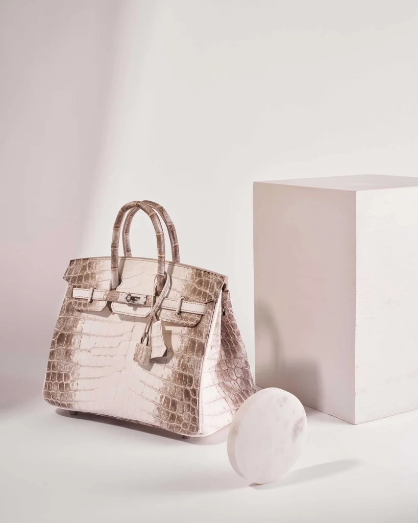 Hermès Birkin Himalaya