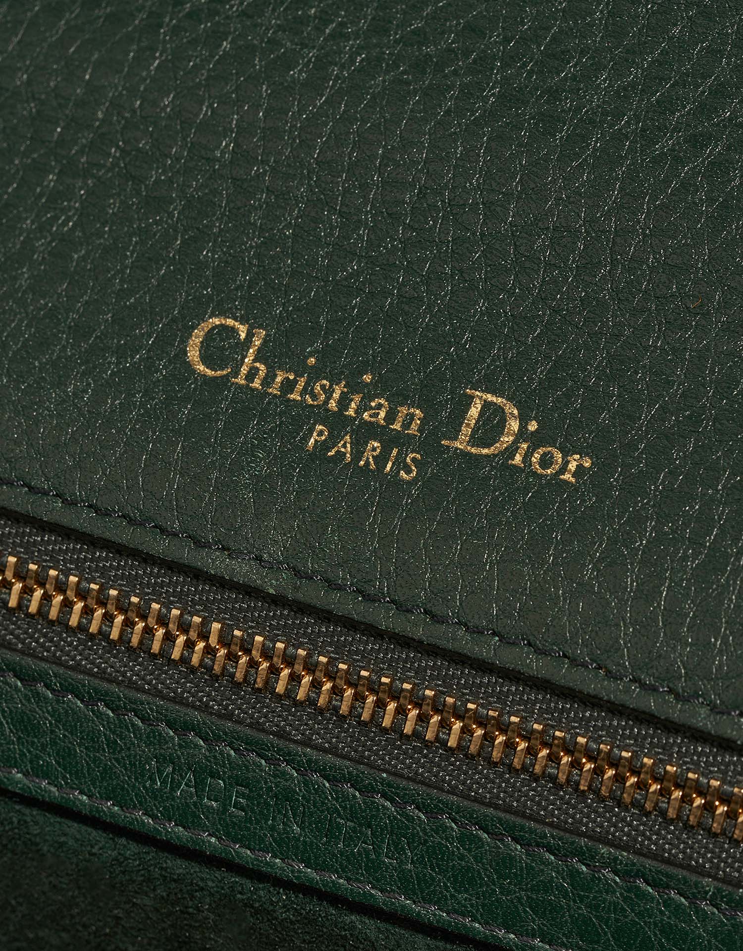 Dior Diorama Medium Green Logo  | Sell your designer bag on Saclab.com