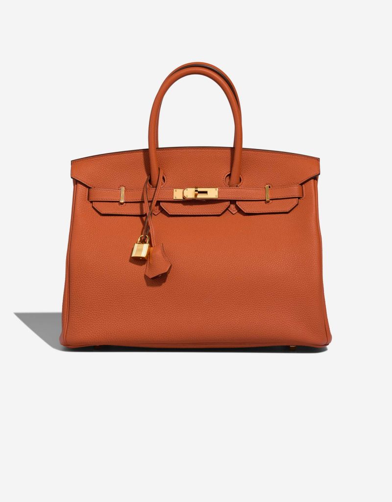 THE HERMES BIRKIN BAG visual data 2