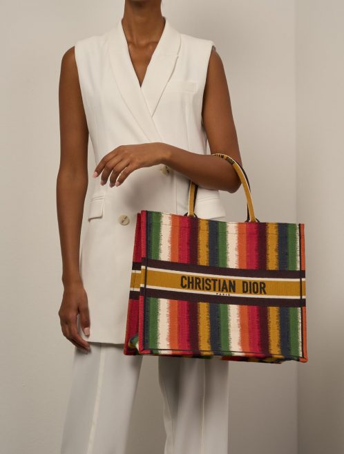Dior BookTote Medium Multicolour Sizes Worn | Sell your designer bag on Saclab.com