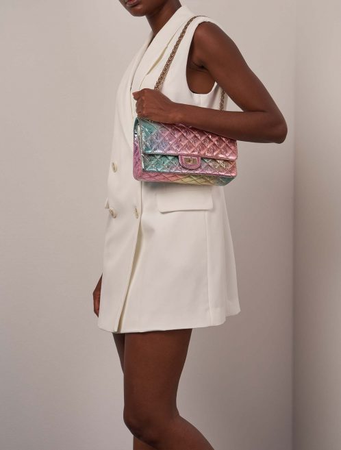Chanel 255Reissue 224 Multicolore sur Modèle | Vendez votre sac de créateur sur Saclab.com