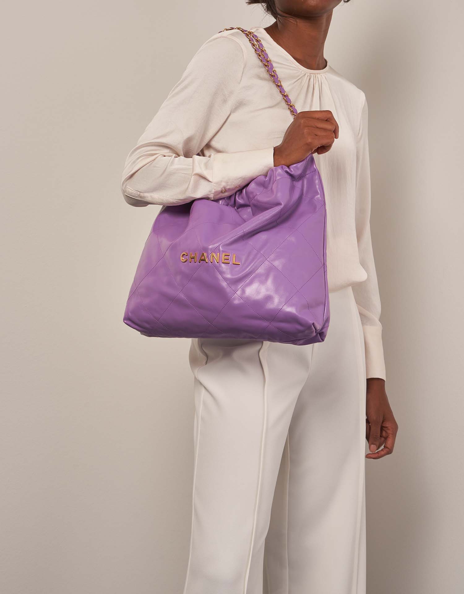 3-19/ CHA-22-M-R) Bag Organizer for CHA 22 Medium Handbag : Raw-Edge - A  Set of 2 - SAMORGA® Perfect Bag Organizer