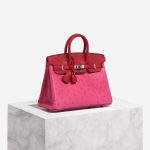 Hermès Birkin 25 RoseTyrien-RougeVif Front  | Sell your designer bag on Saclab.com