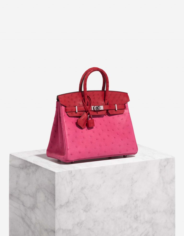 Hermès Birkin 25 RoseTyrien-RougeVif Front  | Sell your designer bag on Saclab.com