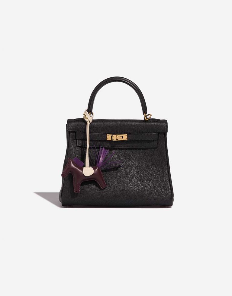 Hermès Rodeo PM RougeSellier-Violet-Craie Front  | Sell your designer bag on Saclab.com