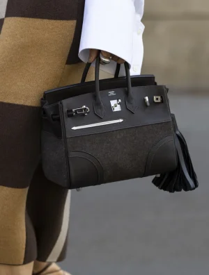 Bag Trends 2024 | New Hermès Birkin Bag