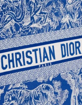 Details on a Large blue and white Dior Book Tote, sold on saclab.com