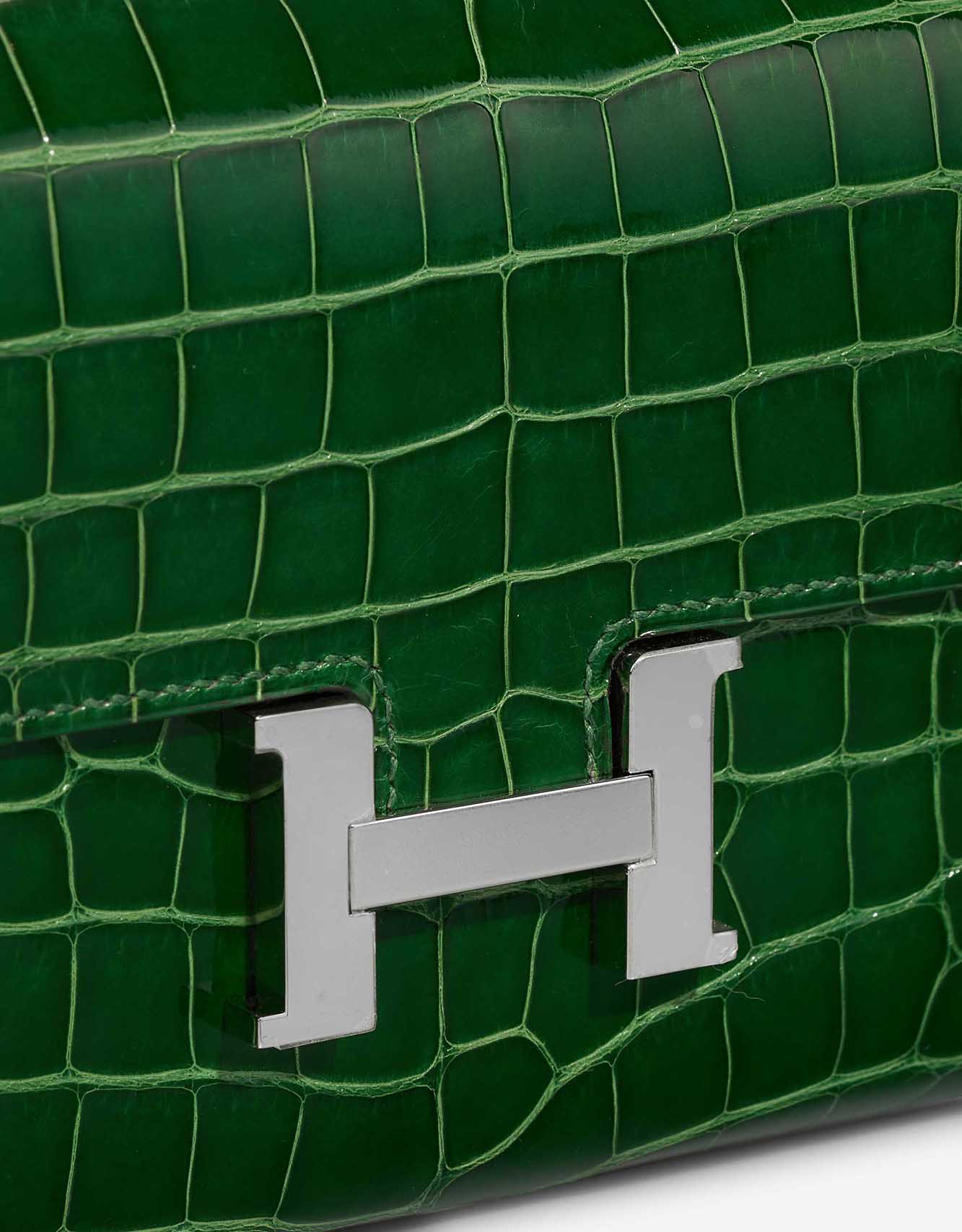 Hermès Constance Long Wallet Alligator Mississippi Vert Cactus Closing System | Sell your designer bag