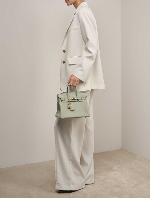 Hermès Birkin 25 Gris Neve auf Model | Verkaufen Sie Ihre Designertasche