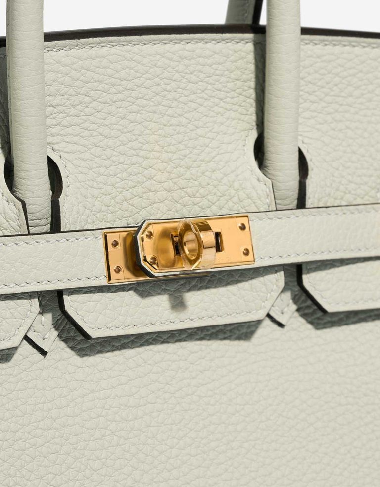 Hermès Birkin 25 Gris Neve Closing System | Sell your designer bag