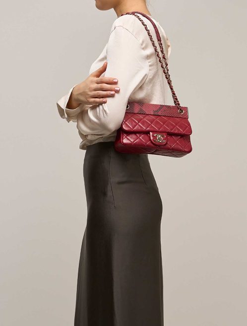 Chanel Timeless Small Aged Calf / Python Red on Model | Sell your designer bag