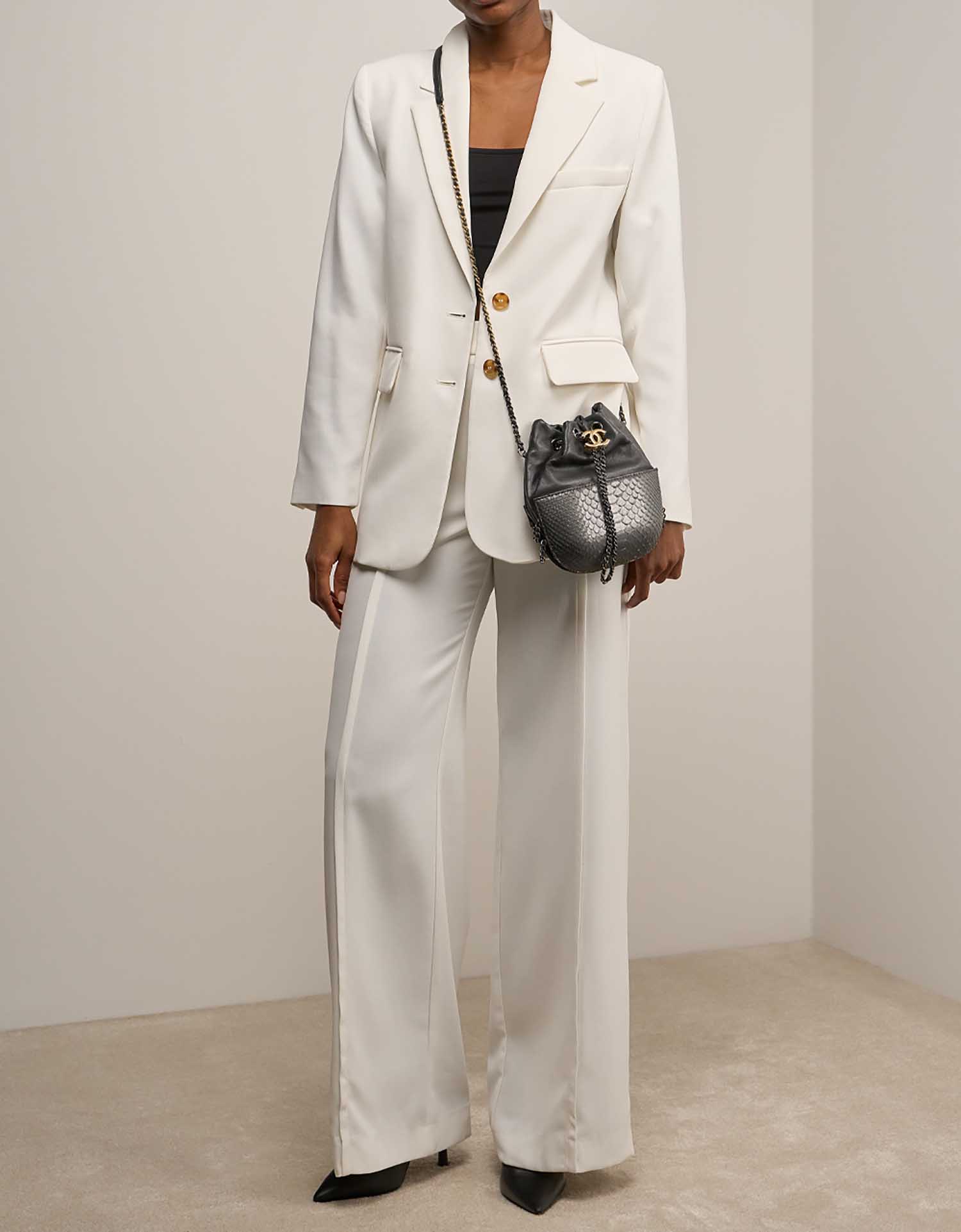 Chanel Bucket Bag Small Python / Lamb Metallic Grey on Model | Sell your designer bag