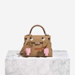 Hermès Kellydole Picto Epsom Chai / Mauve / Terre Battue / Bleu Céleste Front | Sell your designer bag