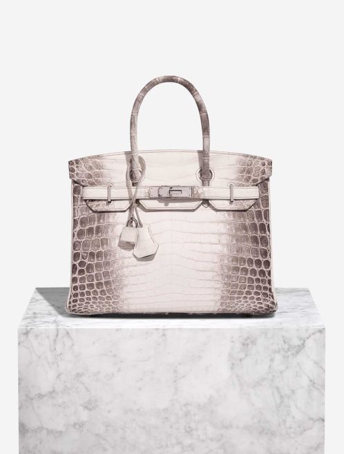 Hermès Birkin Himalaya 30 Niloticus Crocodile White Front | Sell your designer bag