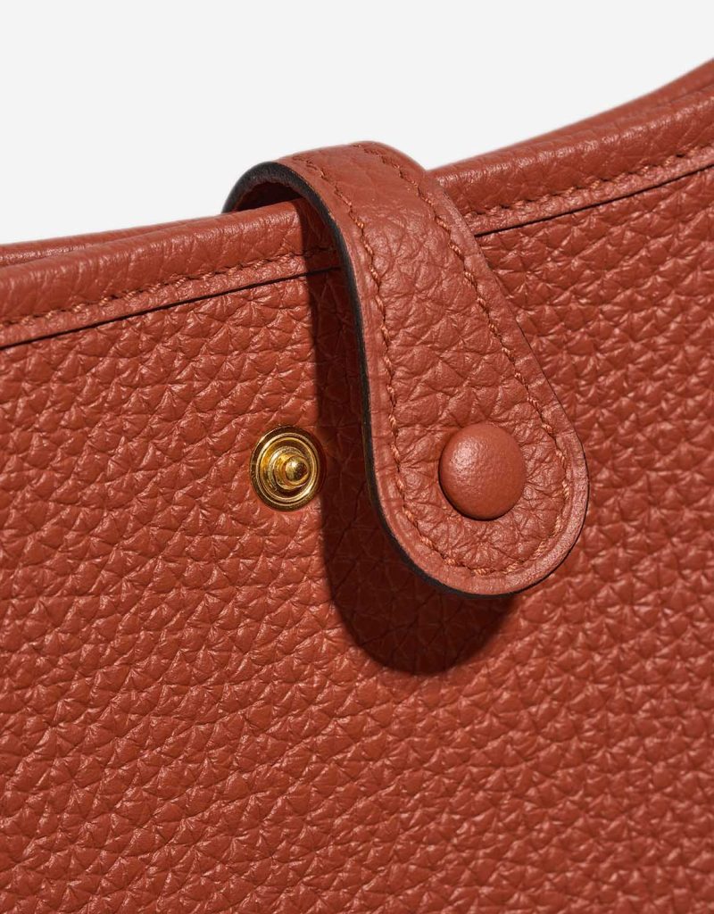 The Hermès Evelyne: All About the Iconic Bag | SACLÀB