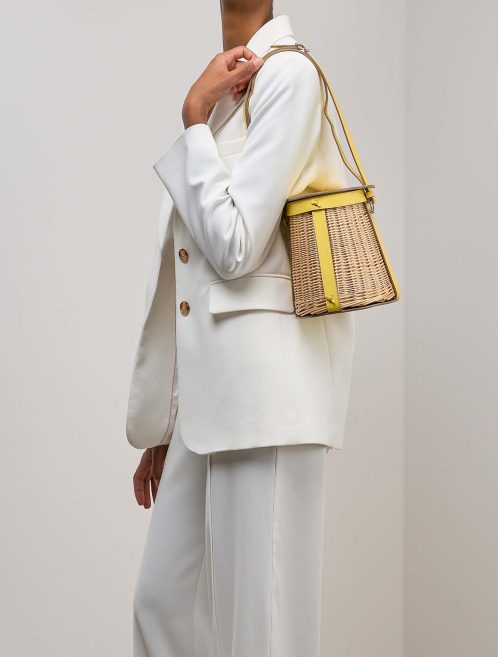 Hermès Toupet Farming Picnic Osier / Swift Jaune de Naples / Beige on Model | Sell your designer bag