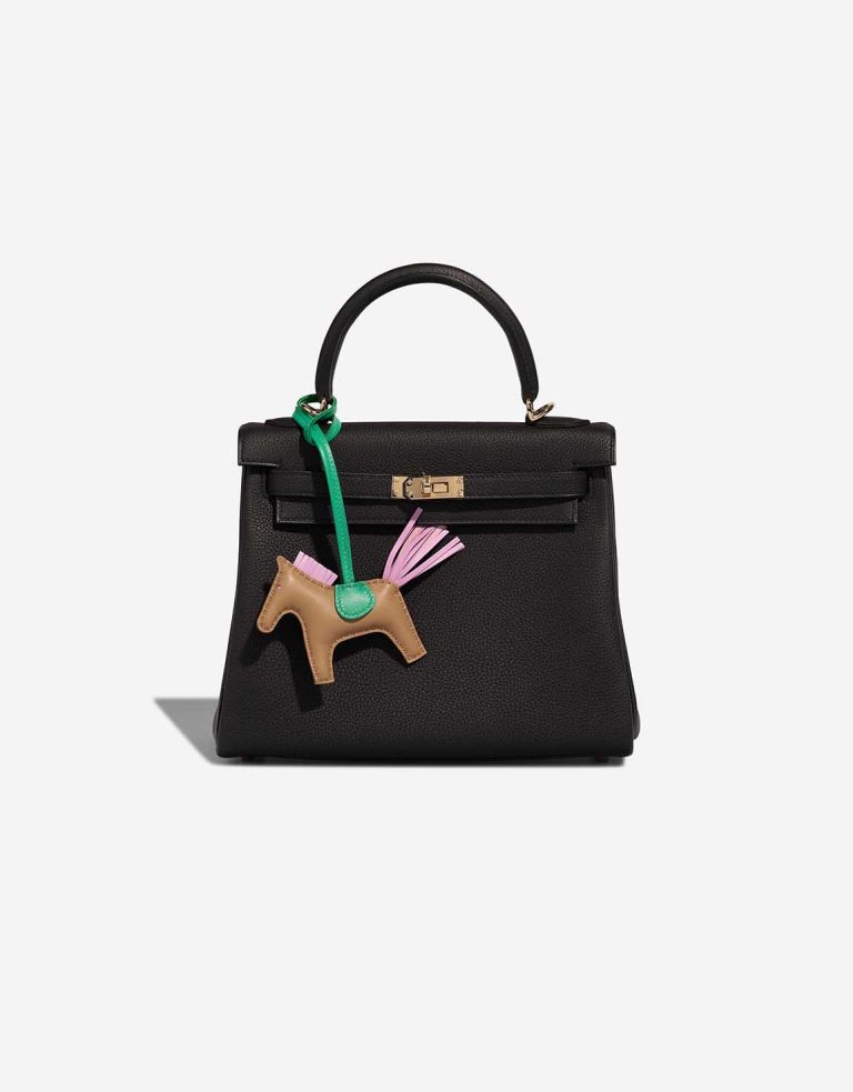 Hermès Rodéo PM Milo Chai / Mauve Sylvestre / Menthe Front | Sell your designer bag