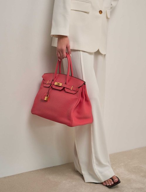 Hermès Birkin 35 Clémence Bougainvillier auf Model | Verkaufe deine Designertasche