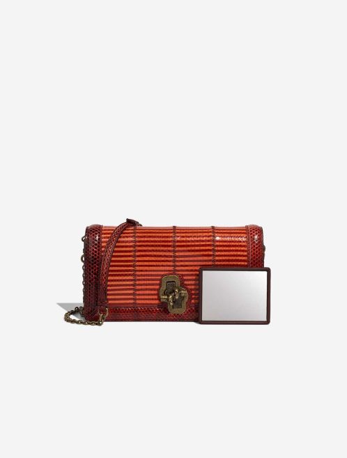 Bottega Veneta City Knot Python / Lamb Burgundy / Orange Front | Sell your designer bag