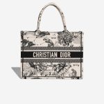 Dior Book Tote Small Canvas Beige / Schwarz Front | Verkaufen Sie Ihre Designer-Tasche