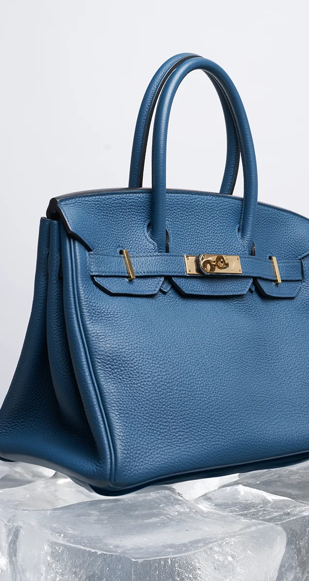 Hermes Birkin Guide SACLAB